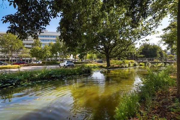Foto - Onder bod: Delfgauwseweg 147, 2628 EL Delft